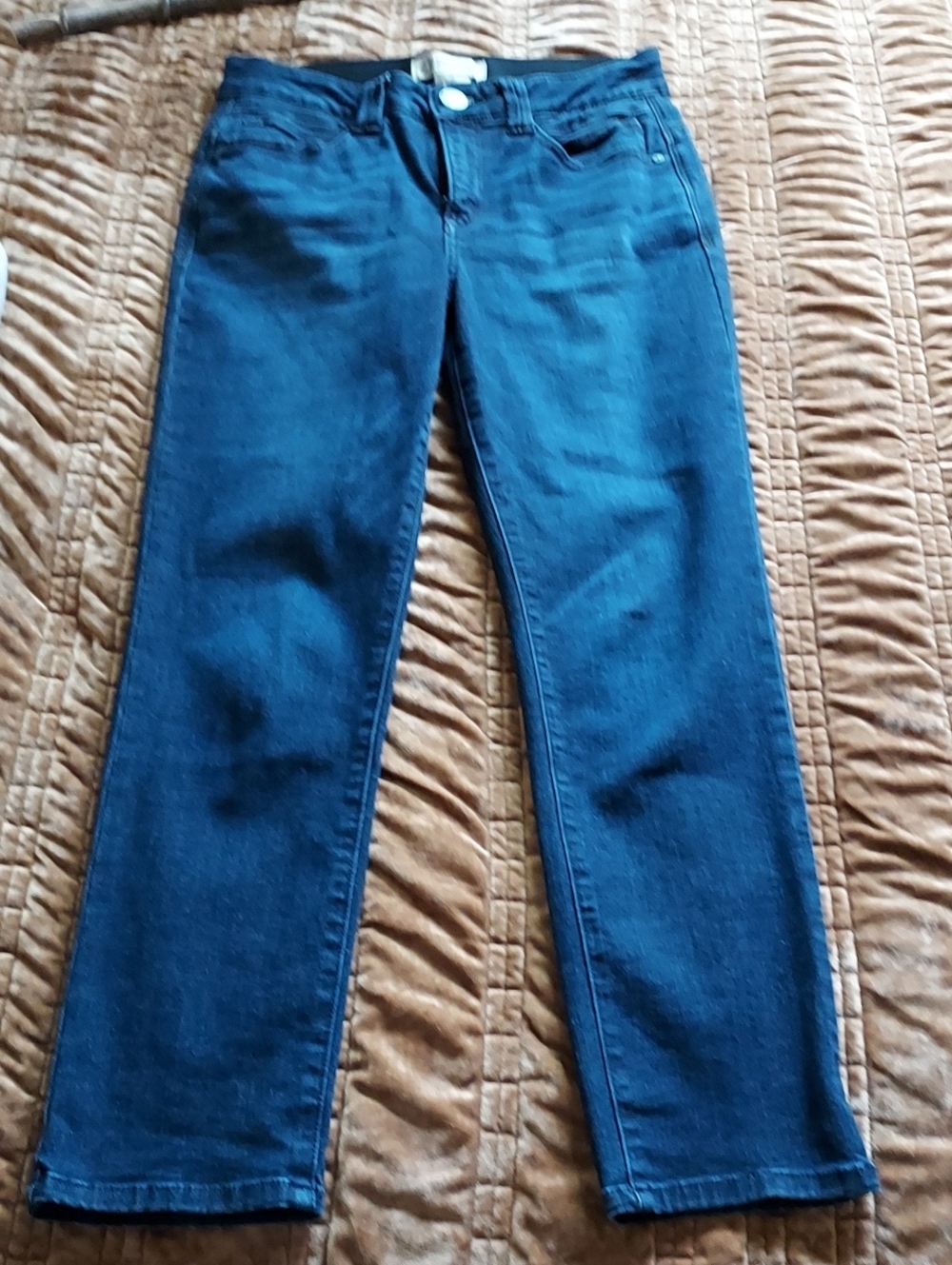 Democracy Classic Straight Leg Jeans in Dark Blue